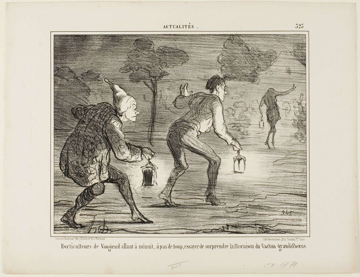 Horticultores de Nanterre em bicos de pés, à meia-noite, em direção ao cato grandiflorus para o surpreender na sua floração, placa 323 de Actualités de Honoré Victorin Daumier