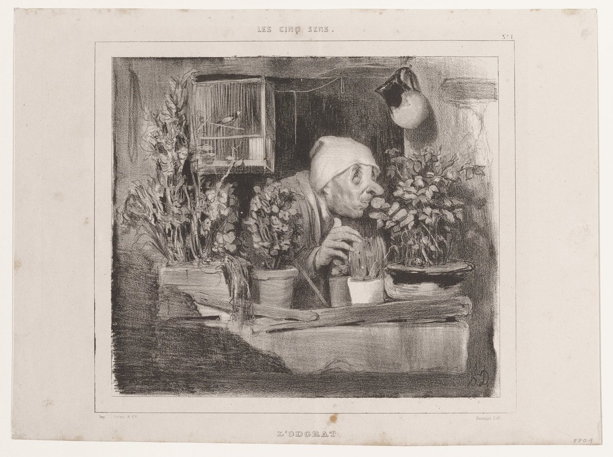 O olfacto (Os cinco sentidos), de La Caricature de Honoré Daumier
