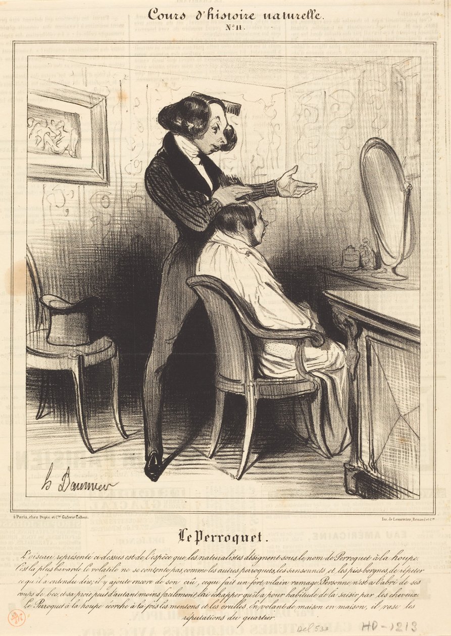O papagaio de Honoré Daumier