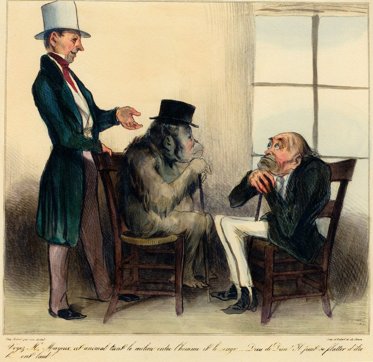 Veja Sr. Mayeux, este animal mantém o meio termo entre o homem e o macaco - pelo amor de Deus! Ele pode se bajular para ser feio! "Desenho animado retratando as semelhanças entre um orangotango e um homem - desenho de Honore Daumier (1808 - 1879) de "Chari de Honoré Daumier