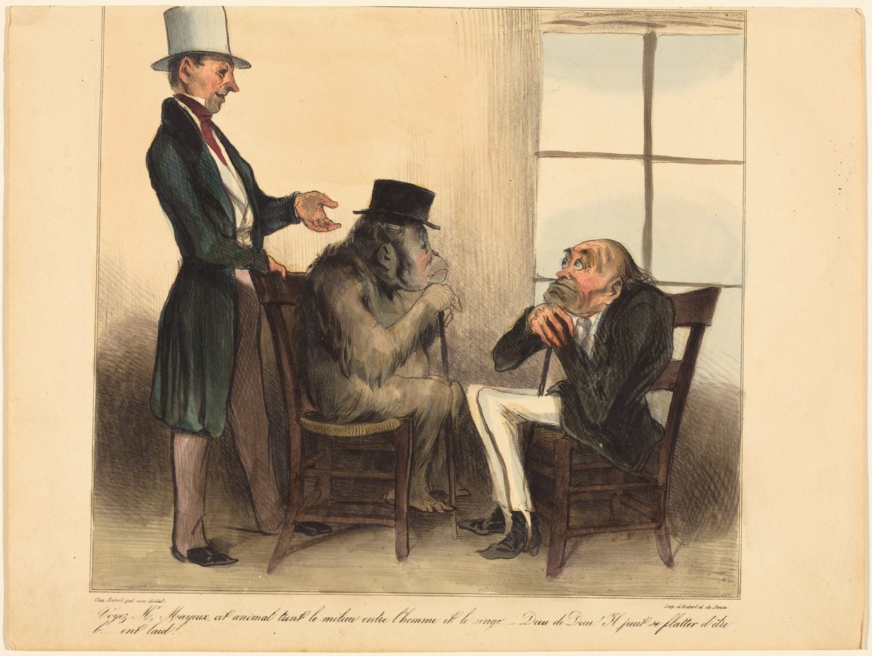 Veja, senhor Mayeux, este animal... de Honoré Daumier