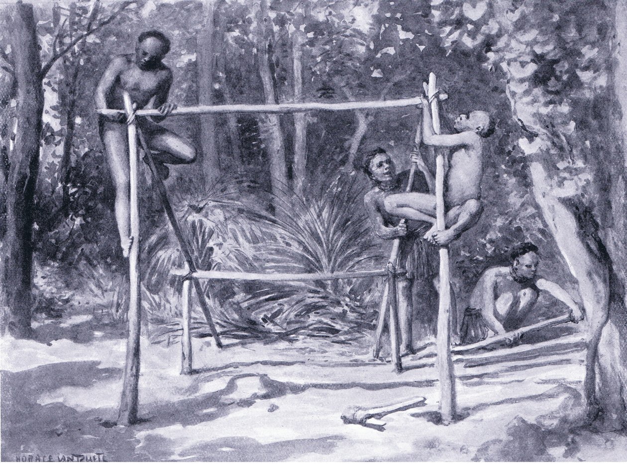O alvorecer da construção da vida de uma casa de Horace van Ruith