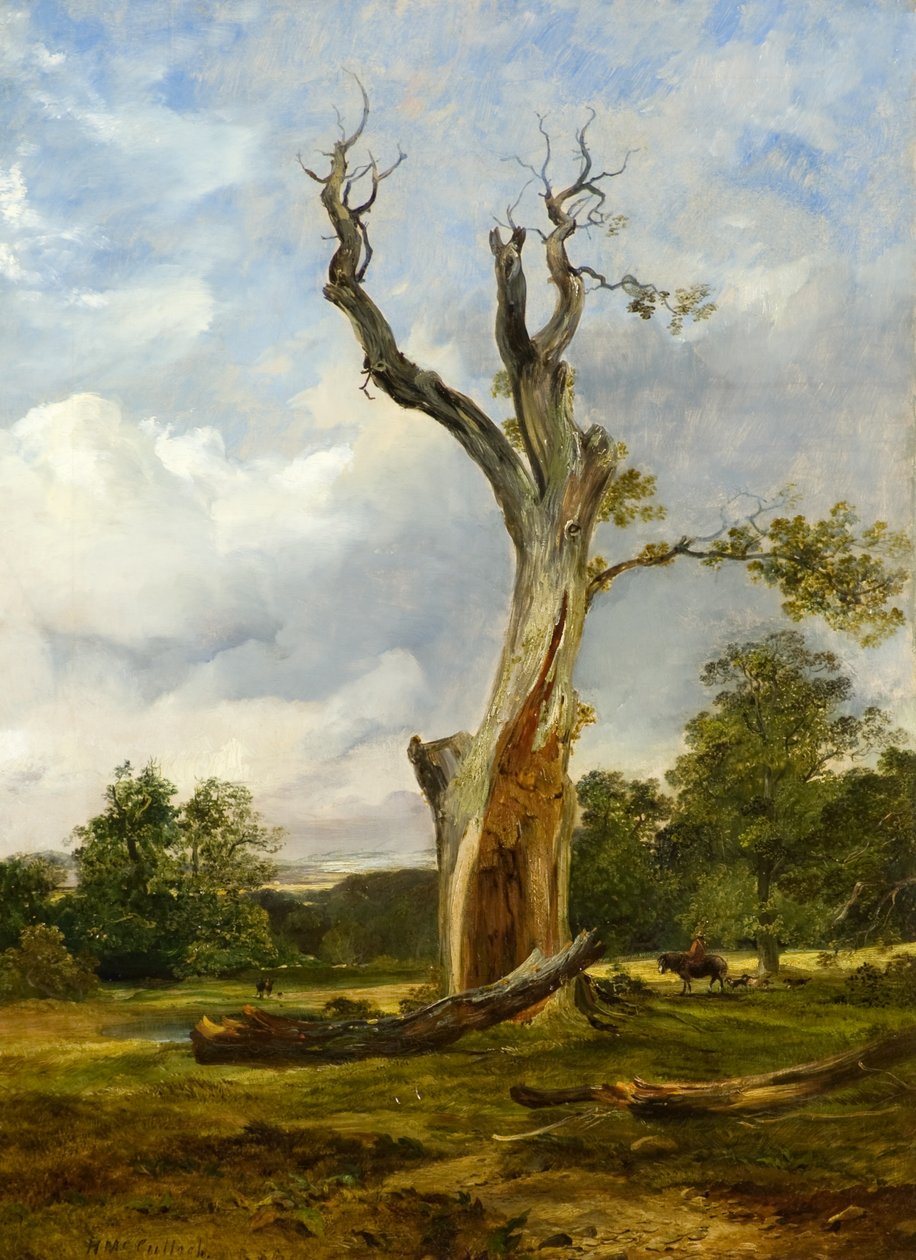 The Blasted Tree, c.1838 (óleo sobre tela) de Horatio McCulloch