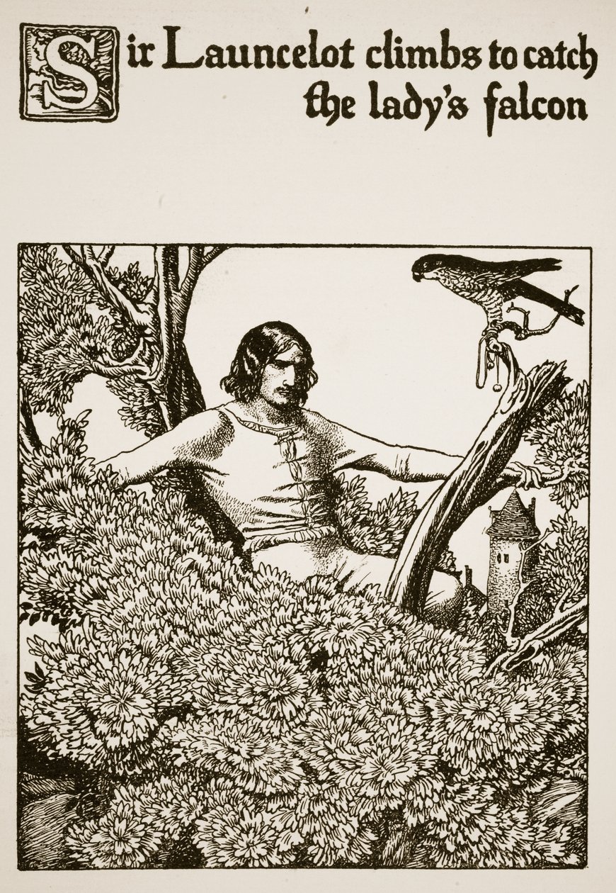 Sir Lancelot sobe para pegar o falcão da dama, ilustração de &39;A História dos Campeões da Mesa Redonda&39; de Howard Pyle