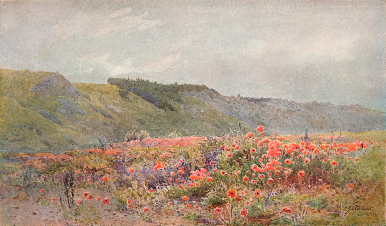 O vale das papoilas, c1879-1903, 1903 de Howard Gull Stormont