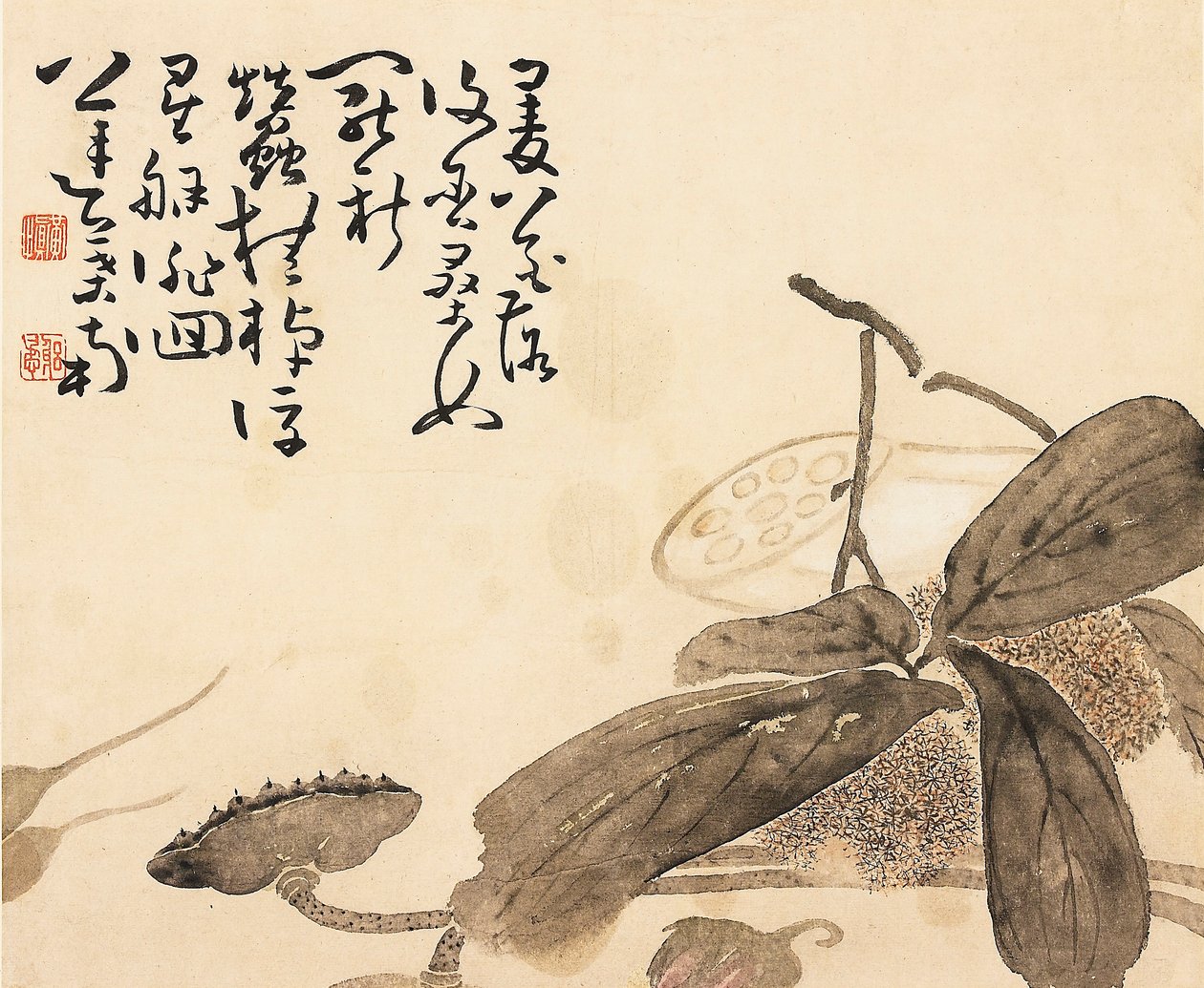 Folha de álbum pintada - planta de lótus, século XVIII de Huang Shen
