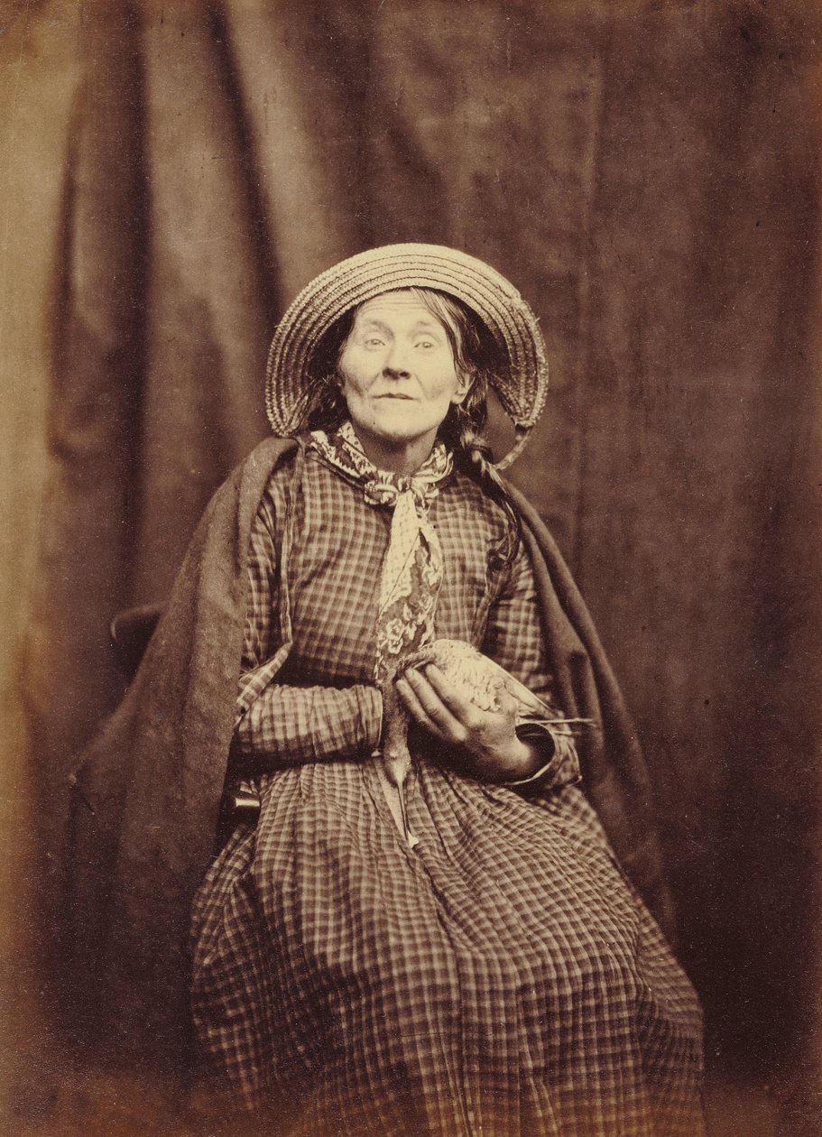 Mulher sentada com pássaro de Hugh Welch Diamond
