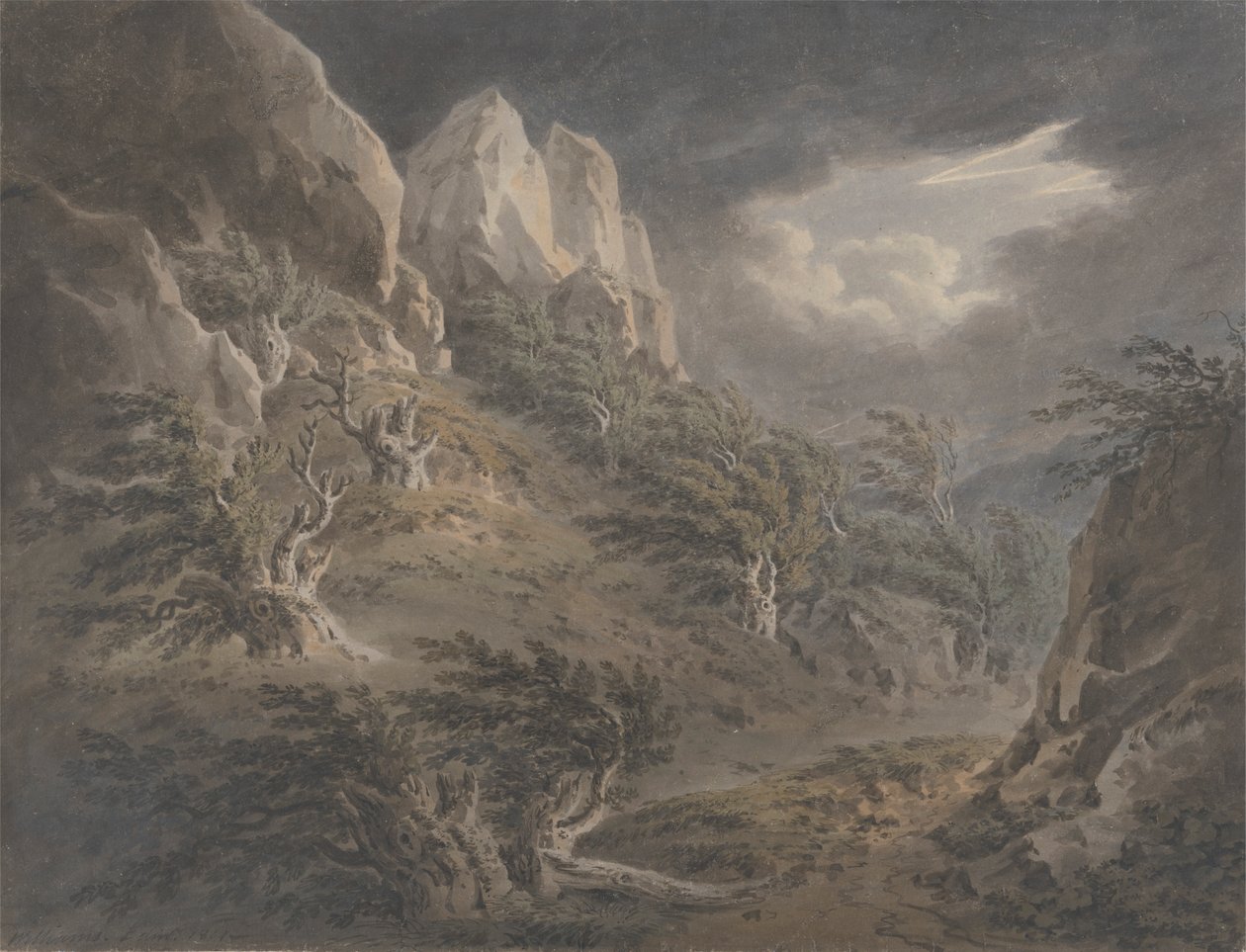 Madeira de Birnam de Hugh William Grecian Williams