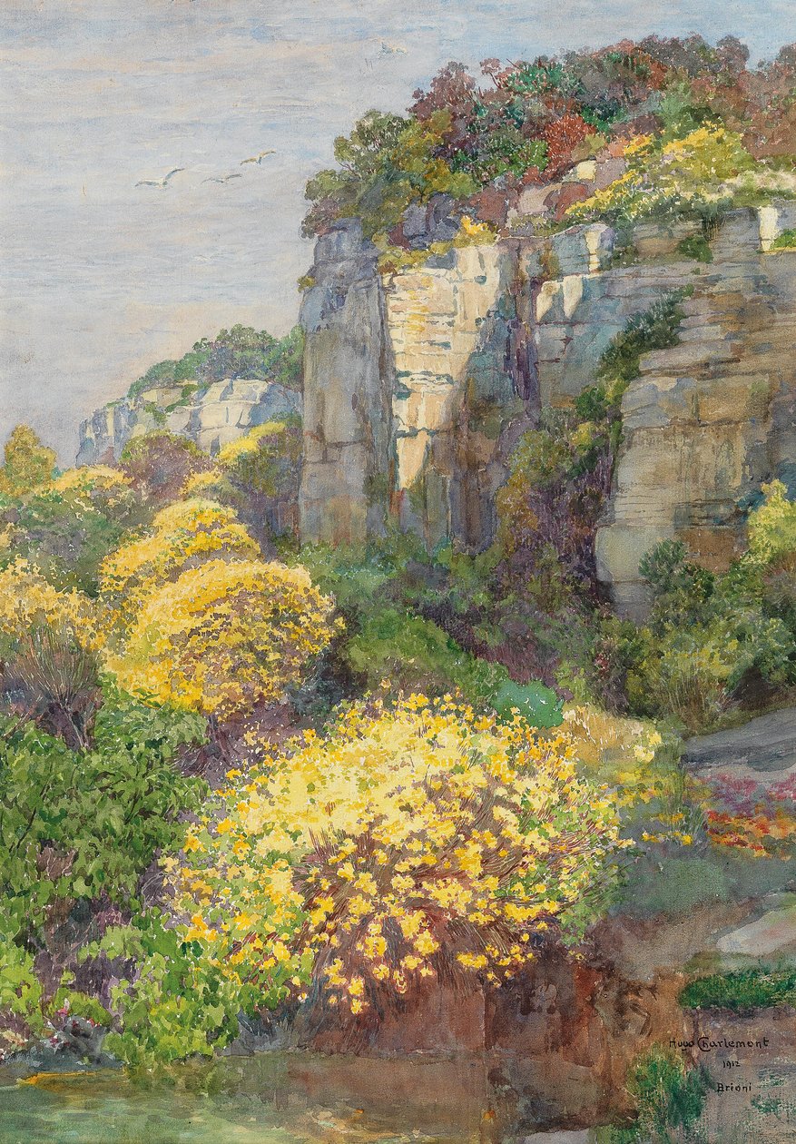 Ginsterblute em BrioninInglês: Vassoura em flor em Brionin de Hugo Charlemont