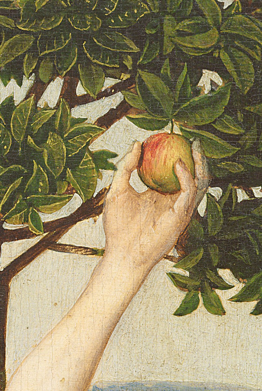 A queda, depois de 1479 óleo no detalhe do painel de 13000 de Hugo van der Goes