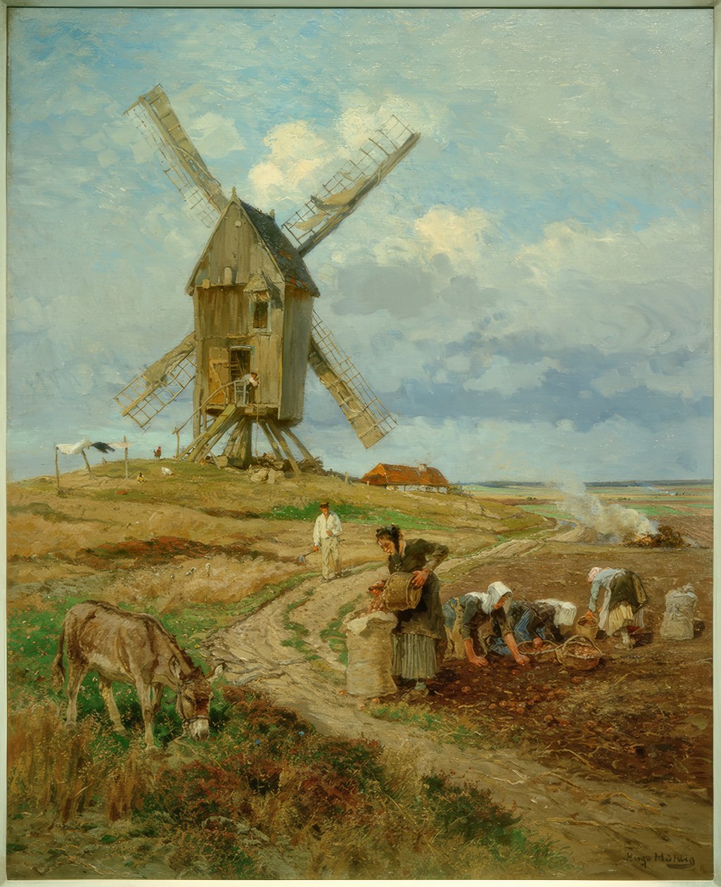 H.Mühlig, colheita de batata de Hugo Muhlig