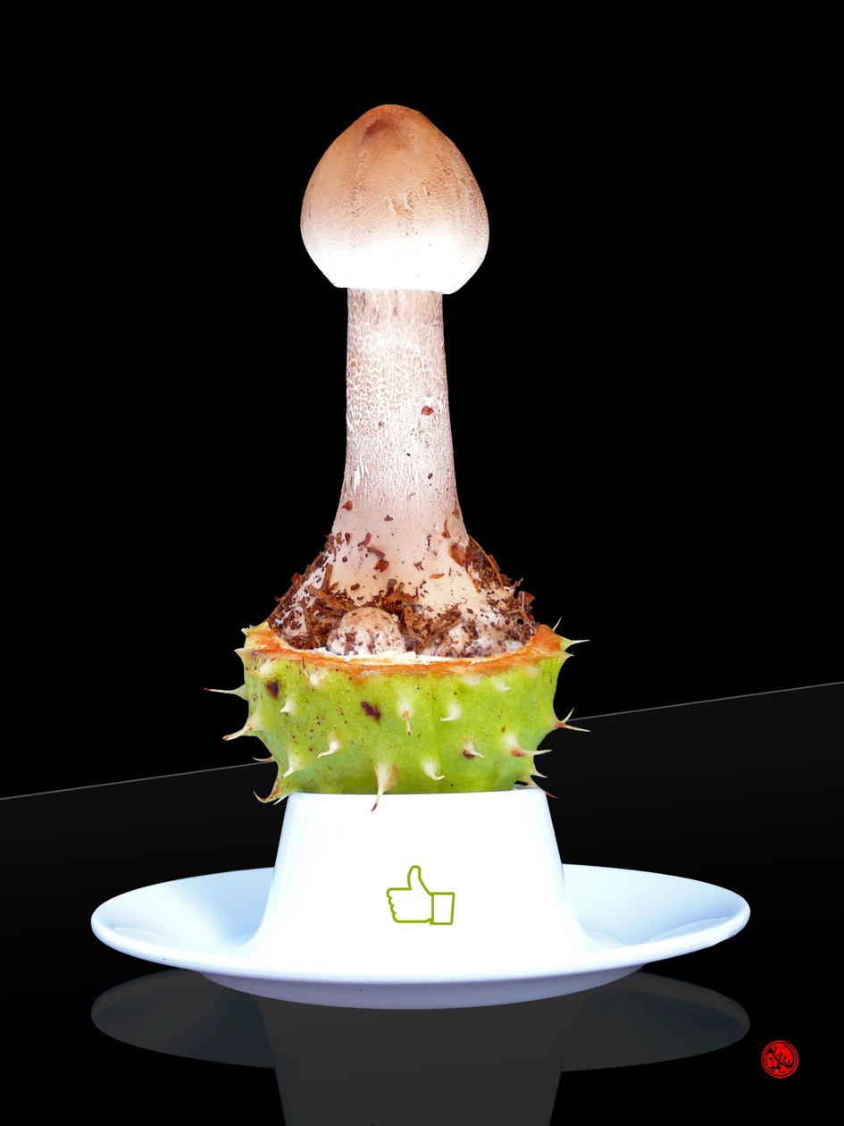 GOSTAR de Hugo Nefe