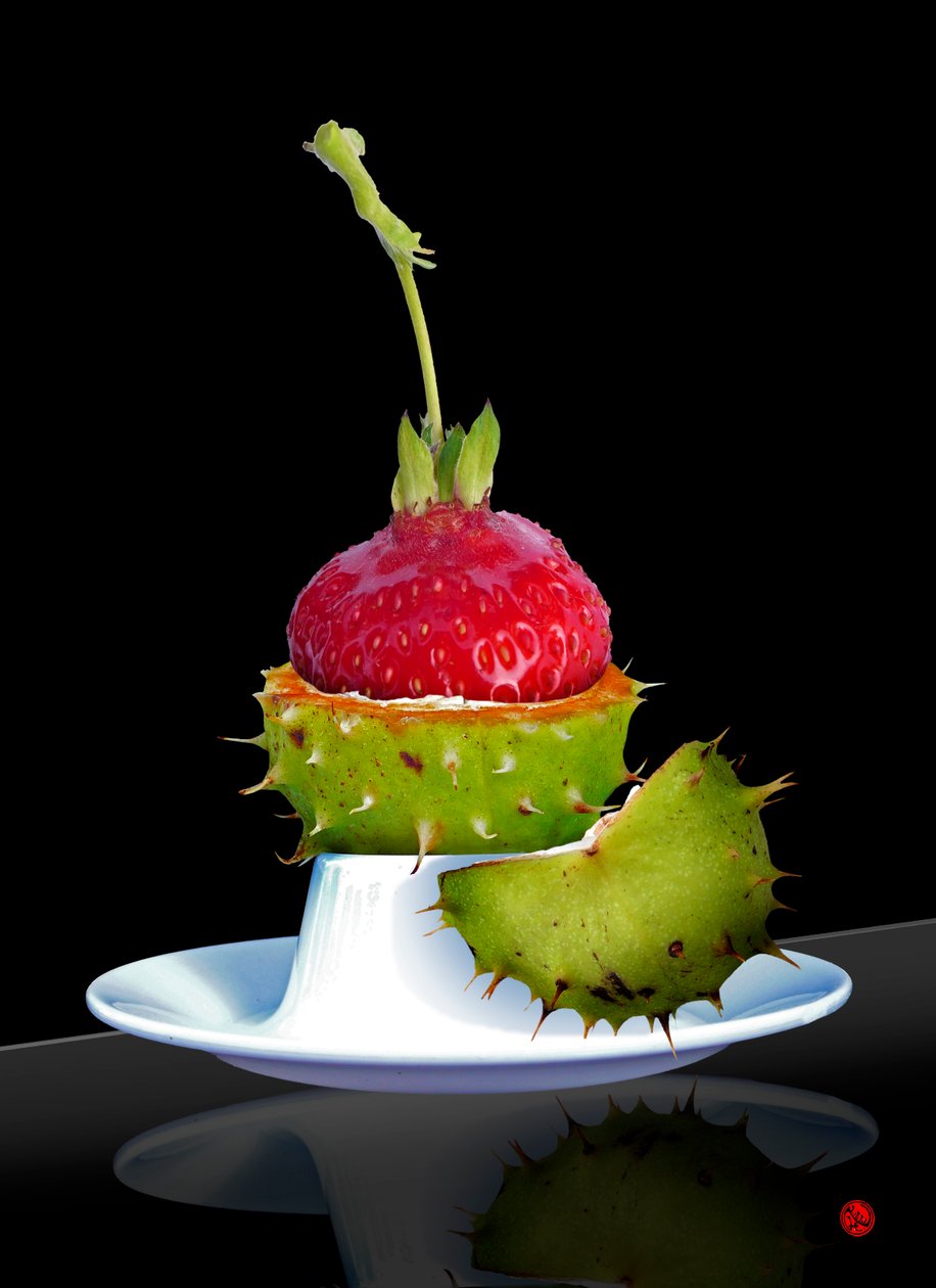GROSELHA de Hugo Nefe