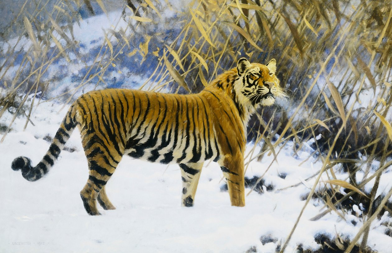Tigre em uma paisagem de inverno de Hugo Ungewitter