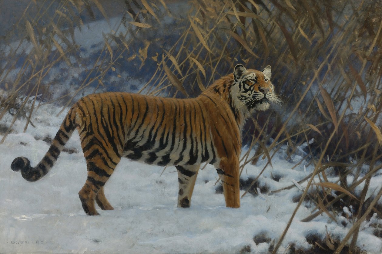 "Un tigre dans la neige" (Um tigre na neve) Peinture de Hugo Ungewitter (1869-1944) 1912 Coleção privee de Hugo Ungewitter