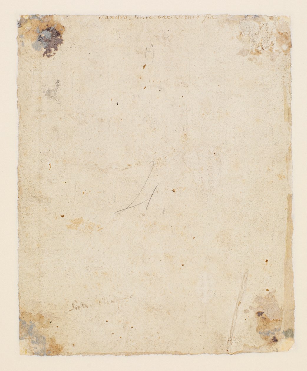 Inscrição no verso: centro superior, tinta marrom, mão italiana do século XVIII: "Sandro escreve essa fia certa"; abaixo disso, tinta marrom, mão do século XIX: "Petro Perugino", de Hugo van der Goes