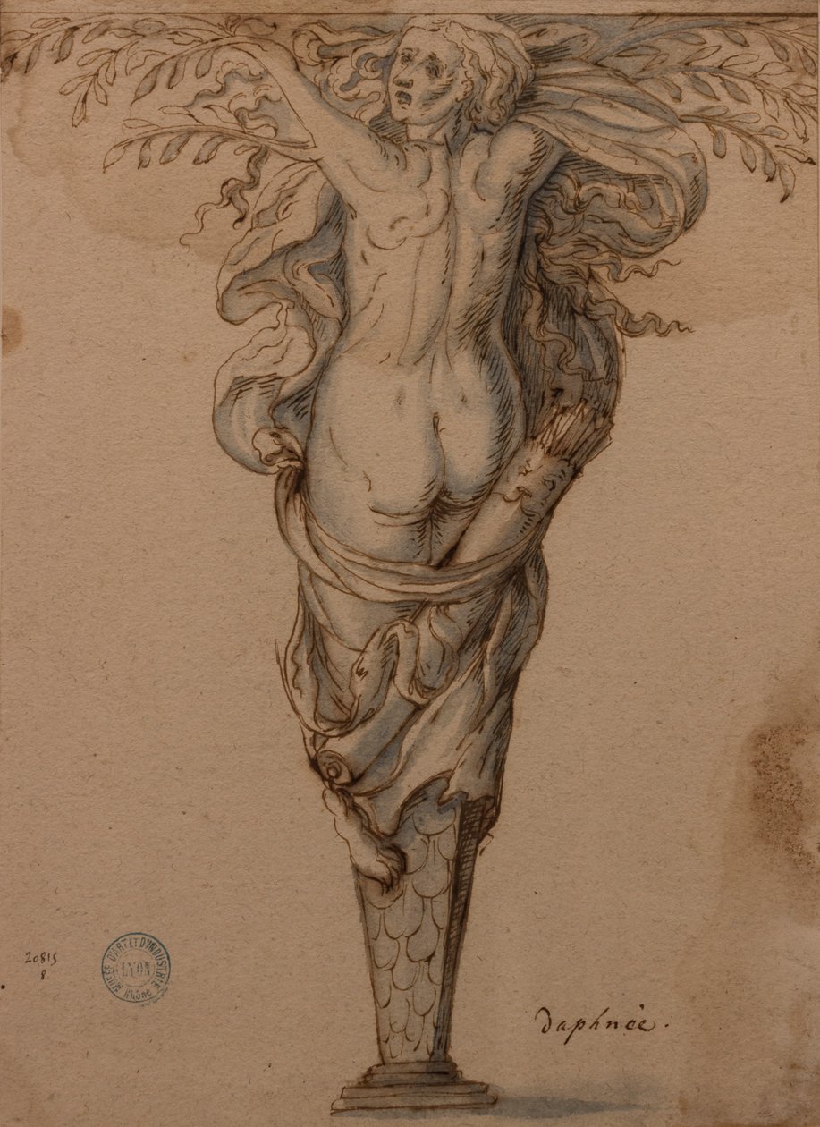 Daphne mudou para laurel de Hugues Sambin