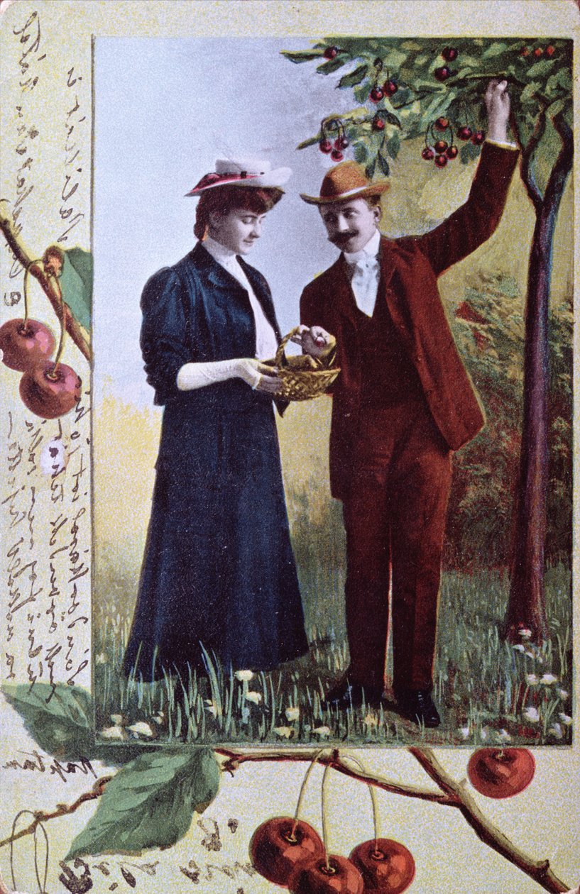 Casal colhendo cerejas, c.1908 de Hungarian School