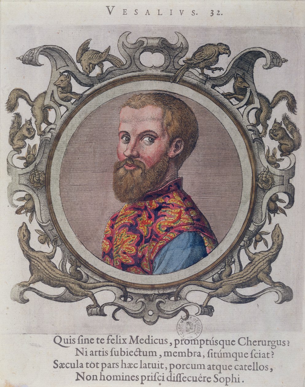 Retrato de Andreas Vesalius (1514-64) de Renéil des Portraits de Medecins pelo médico húngaro, Sambucus, 1574 de Hungarian School
