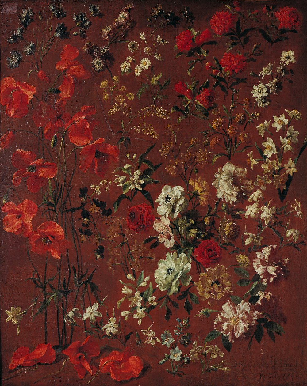 Estudo de Flores, 1720 de Hyacinthe Francois Rigaud