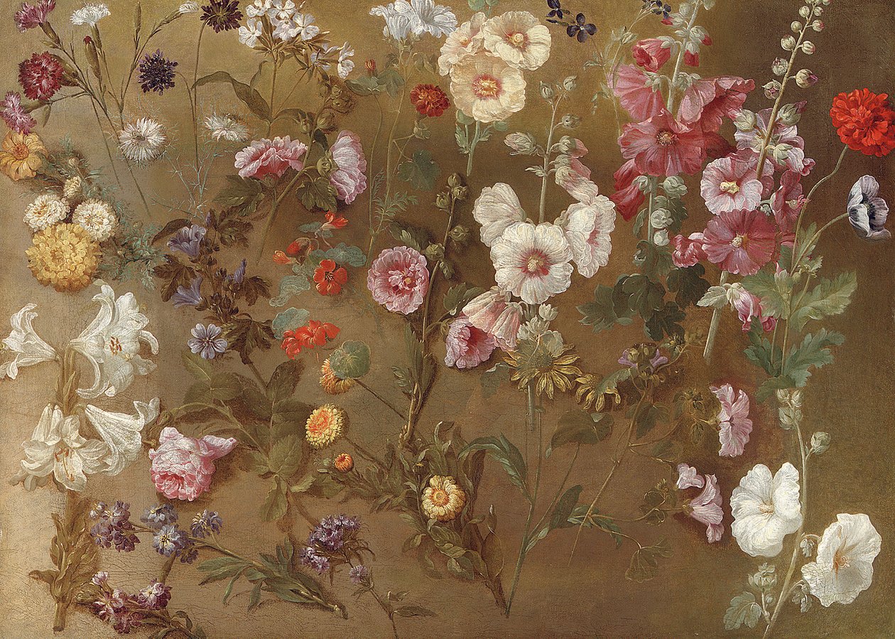 Composição de estudos de flores, incluindo cravos, flores de alfineteiro, aposta saltitante, malva; malvas-rosa, marigóis africanos, miosótis de Hyacinthe Francois Rigaud