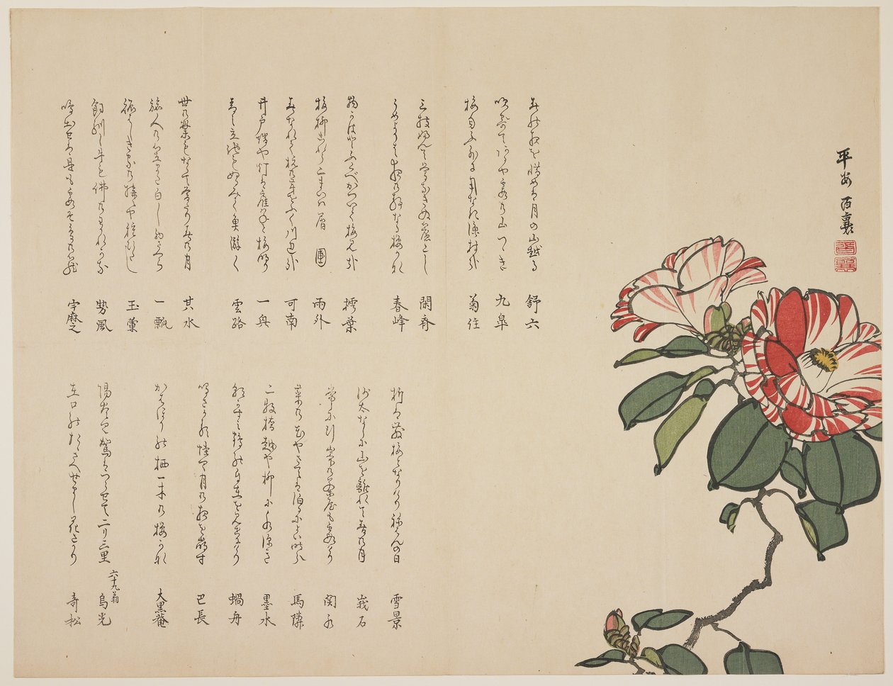 Camélia florescendo, c.1818-1829 (impressão em xilogravura a cores) de Hyakuj