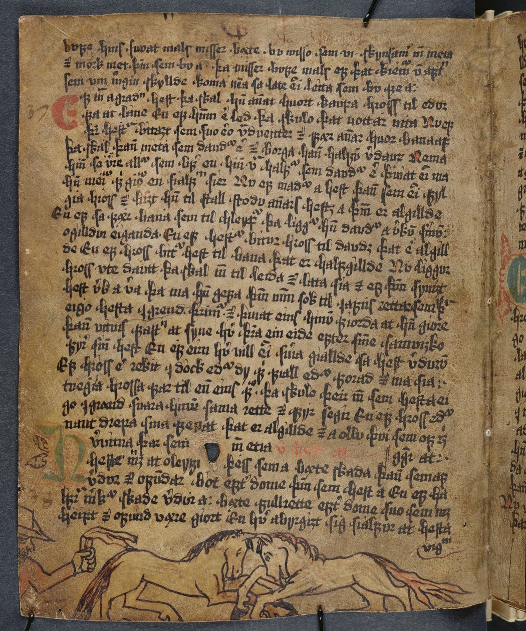 Horse Fight, de Heynesbok (O Livro de Heynes), 1ª metade do século XVI de Icelandic School