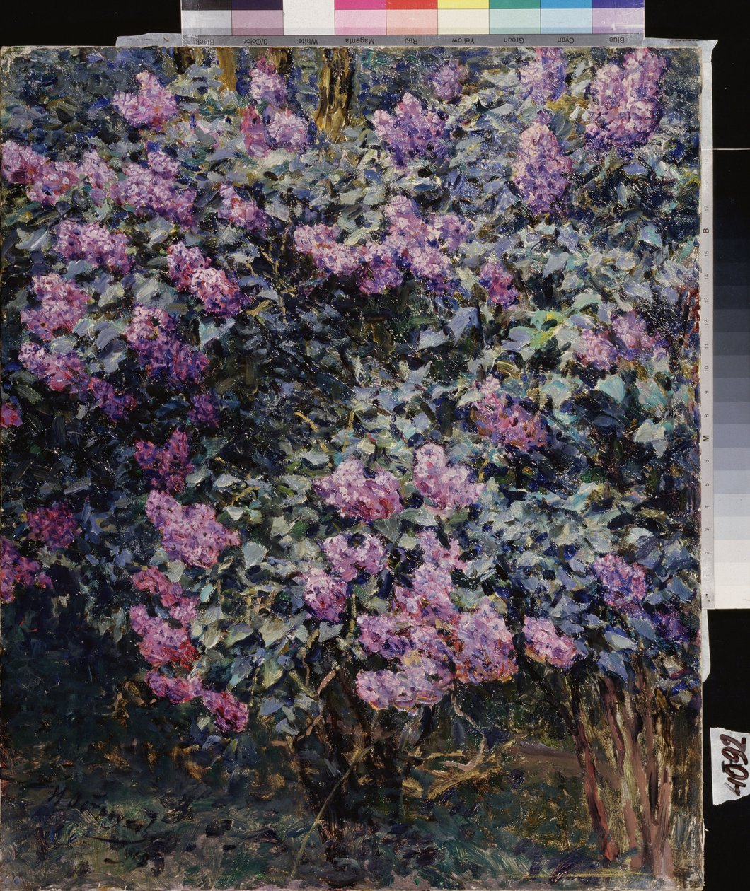 Lilás. Pintura de Ilya (Ilia) Semenovich Ostroukhov (1858-1929), óleo sobre tela de Ilya Ostrouhov