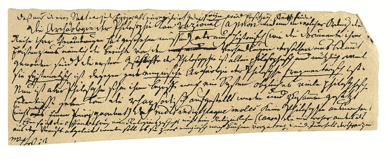 Manuscrito autógrafo, em alemão, notas sobre filosofia e a Universidade de Königsberg (caneta e tinta sobre papel) de Immanuel Kant