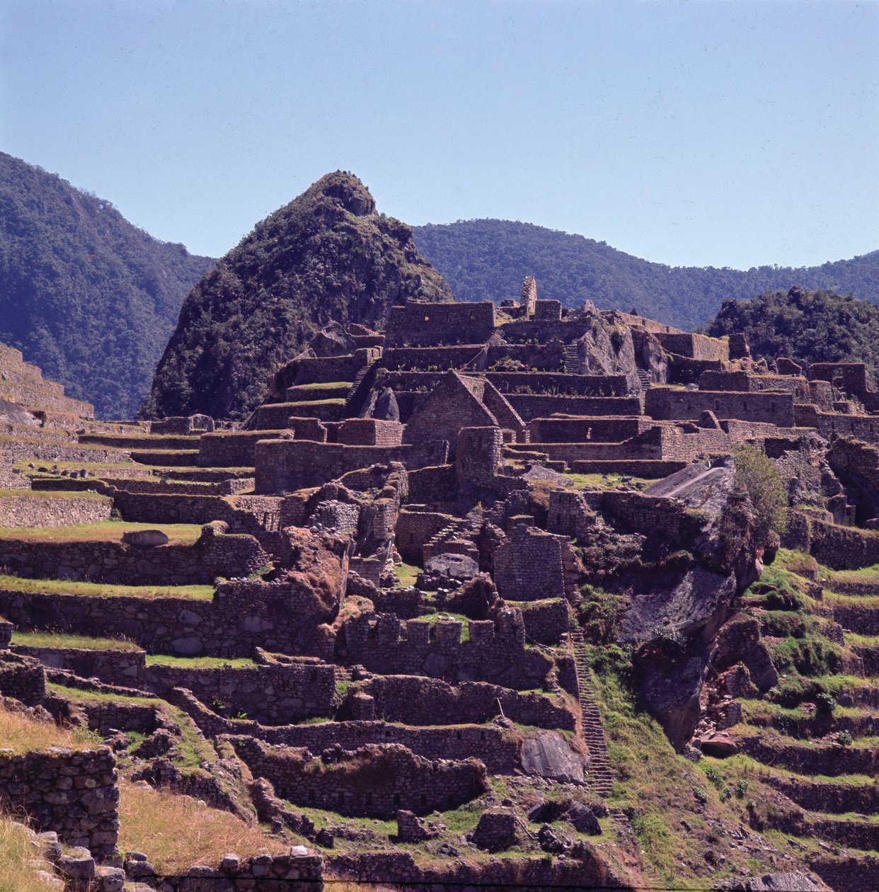 Edifícios de terraço da cidadela em Machu Picchu de Incan