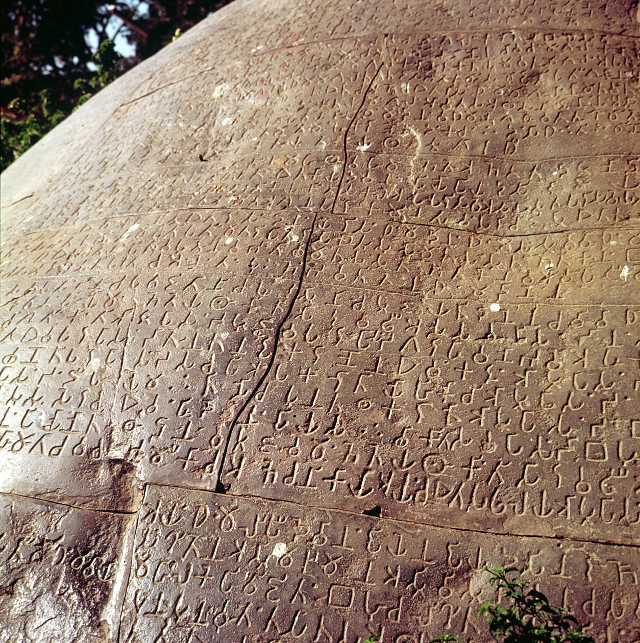 Cópia da pedra do Imperador Ashoka (c.264-223 aC) (detalhe) de Indian