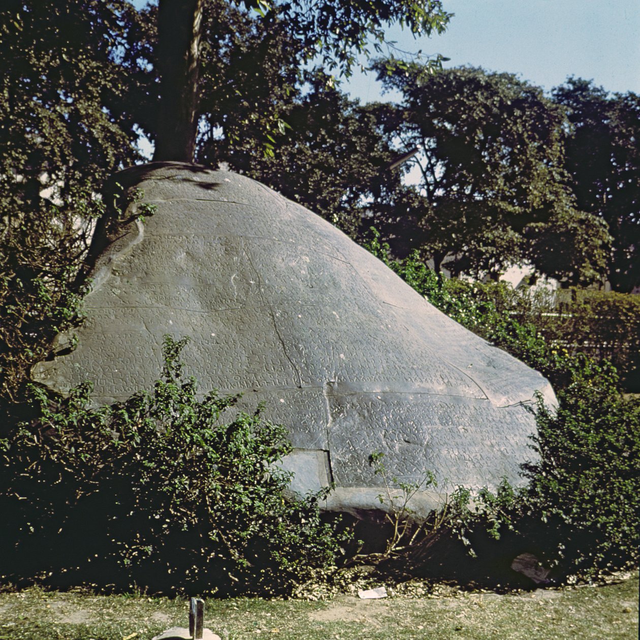 Cópia da pedra do imperador Ashoka (c.264-223 aC) de Indian