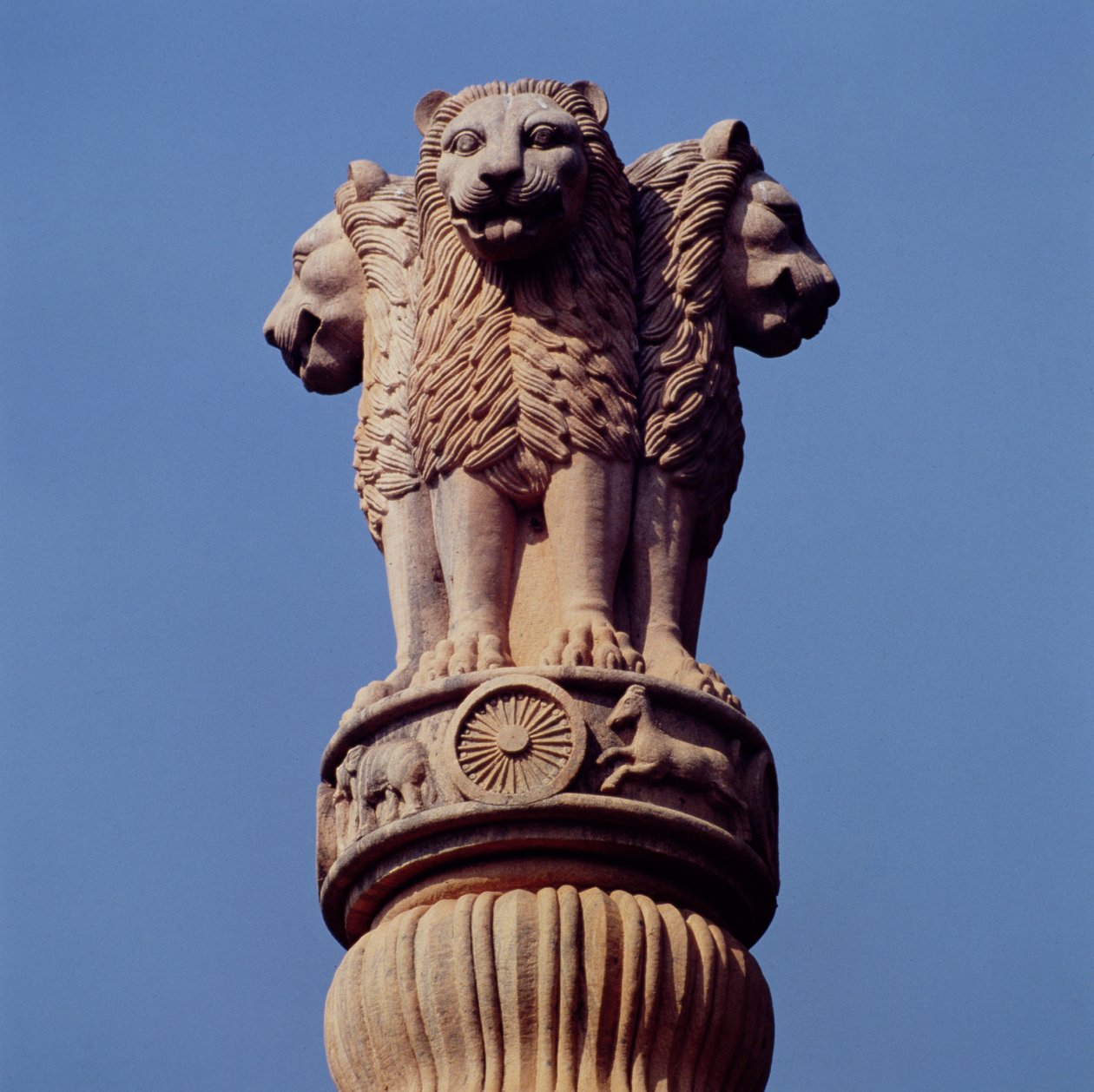 Detalhe de um pilar de Ashoka de Indian School
