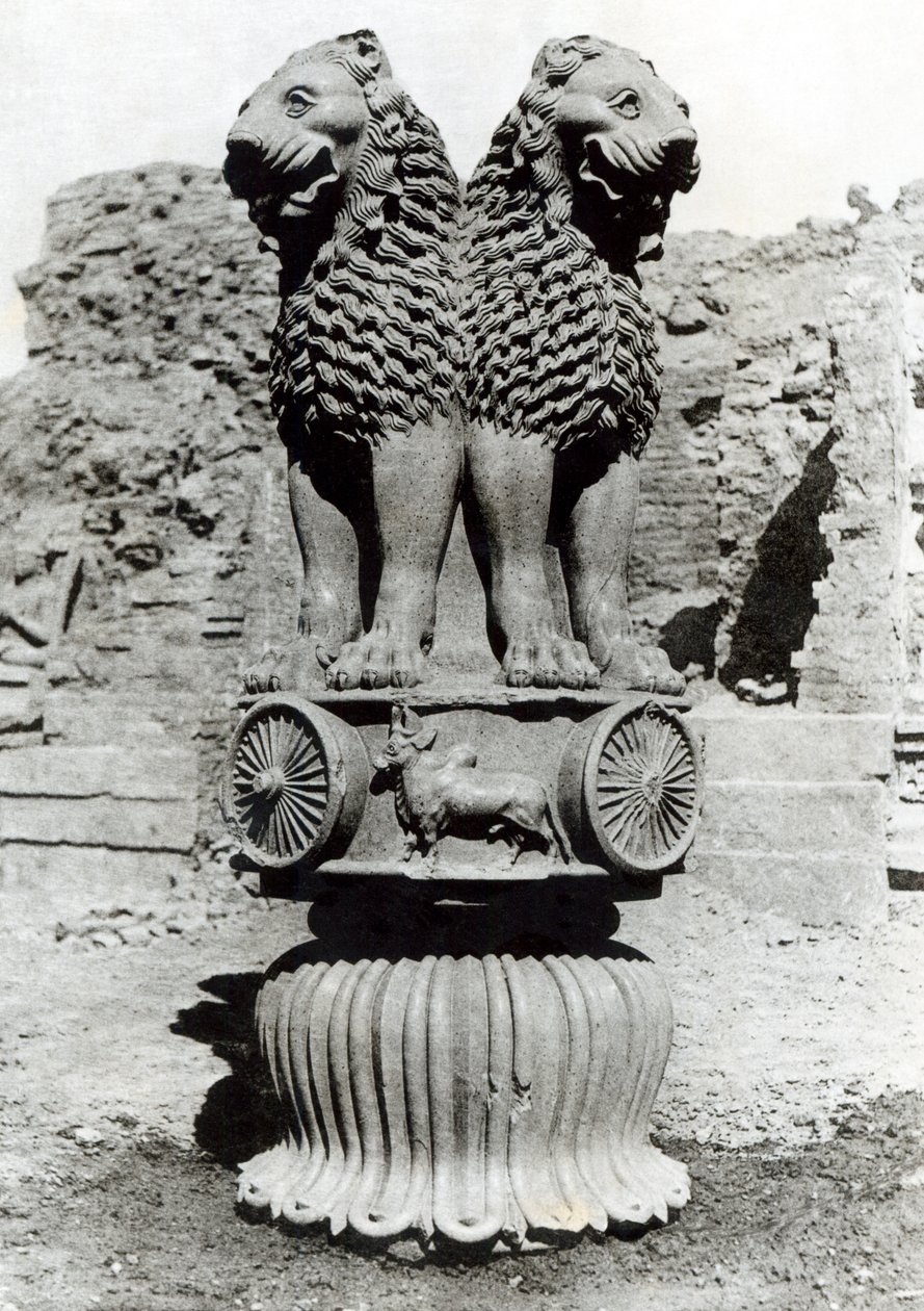 Capital do leão do pilar do imperador Ashoka, 273-236 aC (arenito polido) de Indian School