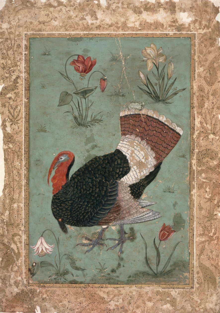 Turquia, Mughal (cor no chão verde pálido) de Indian School