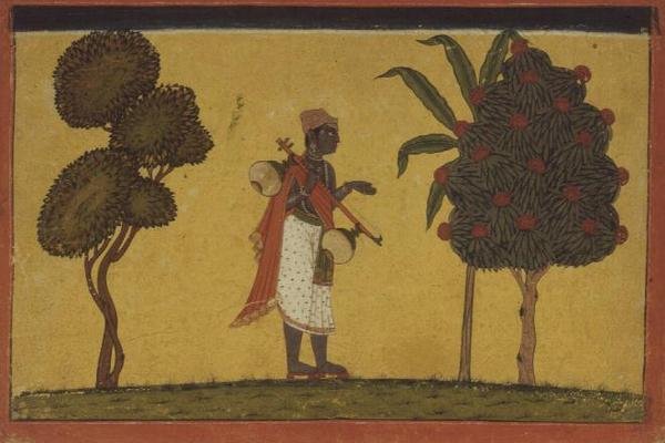 47.19/134 Madhavanala com uma vinha na floresta de uma série 