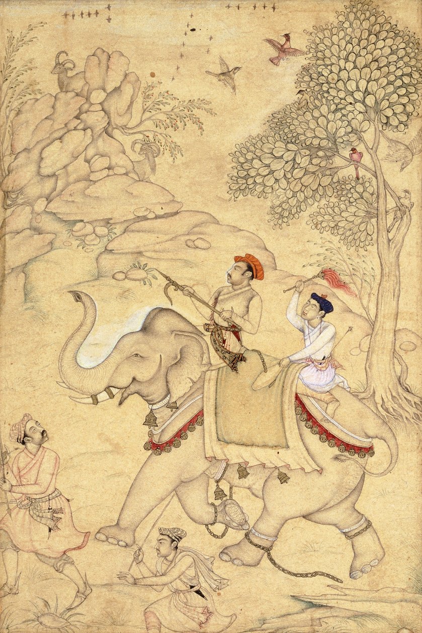 Uma caça ao príncipe, montada em um elefante, c.1600-1650 de Indian School
