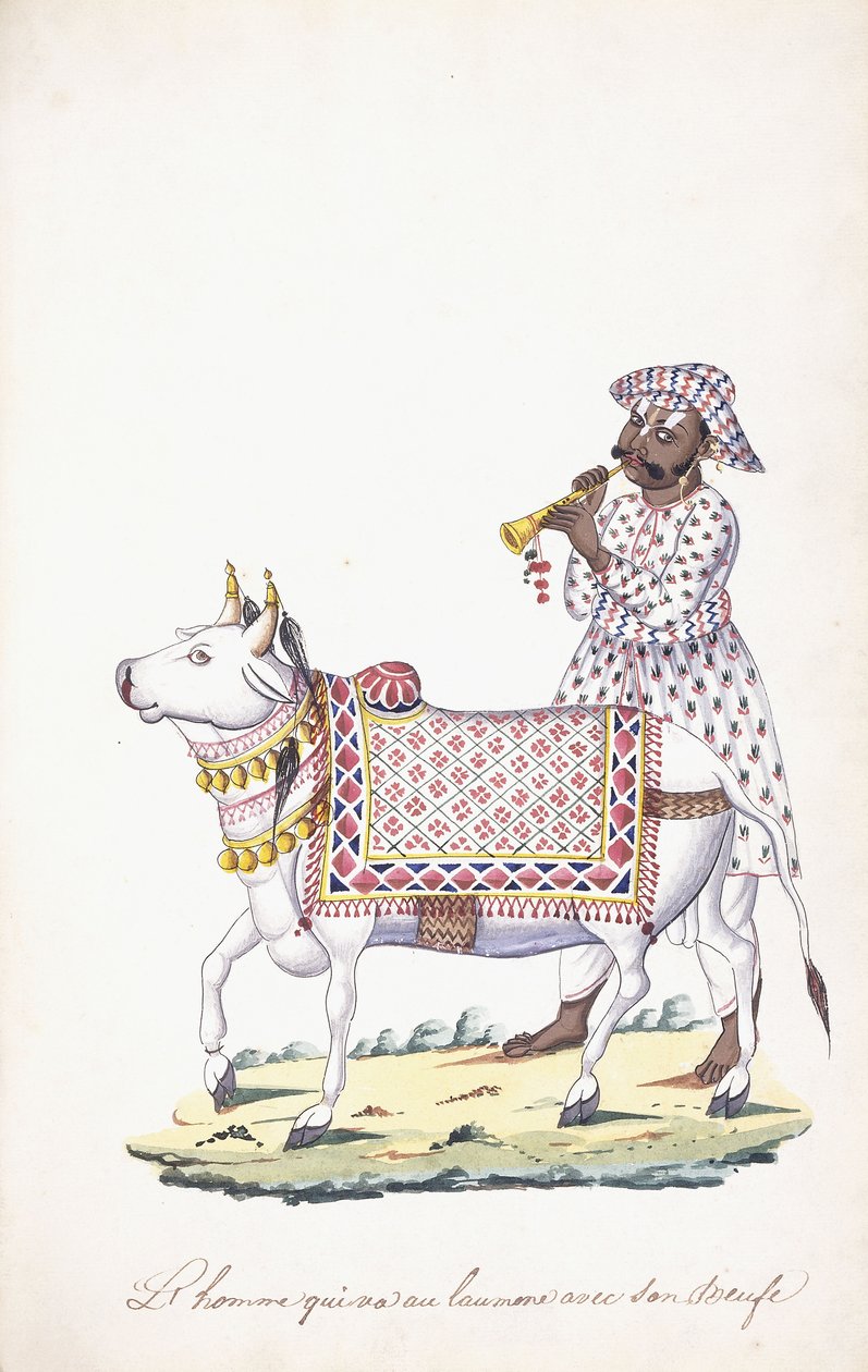 Um homem com seu boi, c. 1825 (lápis, caneta, tinta preta, w - c, em papel Whatman) de Indian School