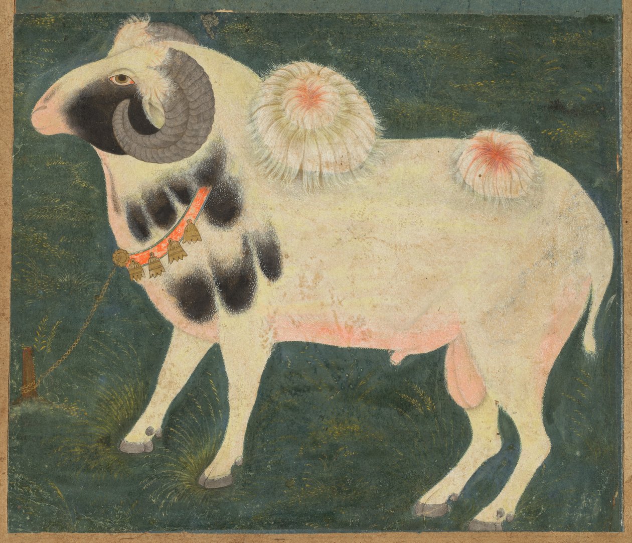 Um carneiro real com uma corrente de ouro, c. 1585 (aguarela opaca e ouro sobre papel) de Indian School