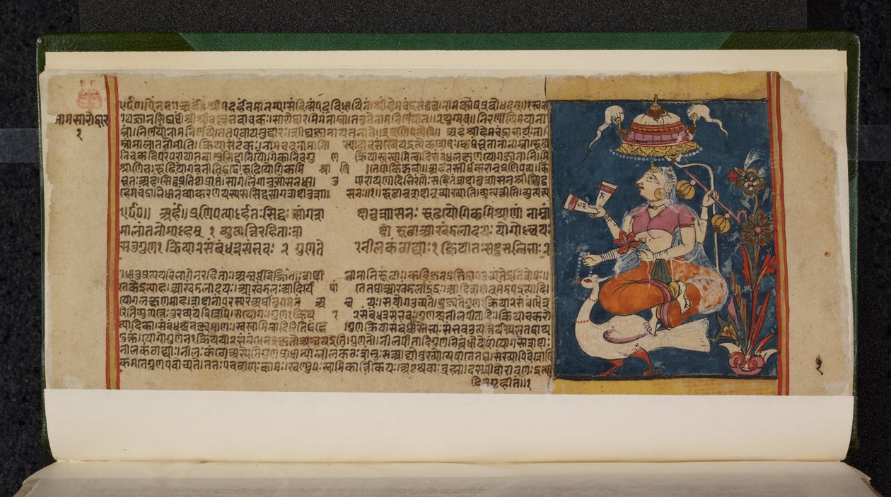 Folio manuscrito de Abhidan Chintamani de Indian School