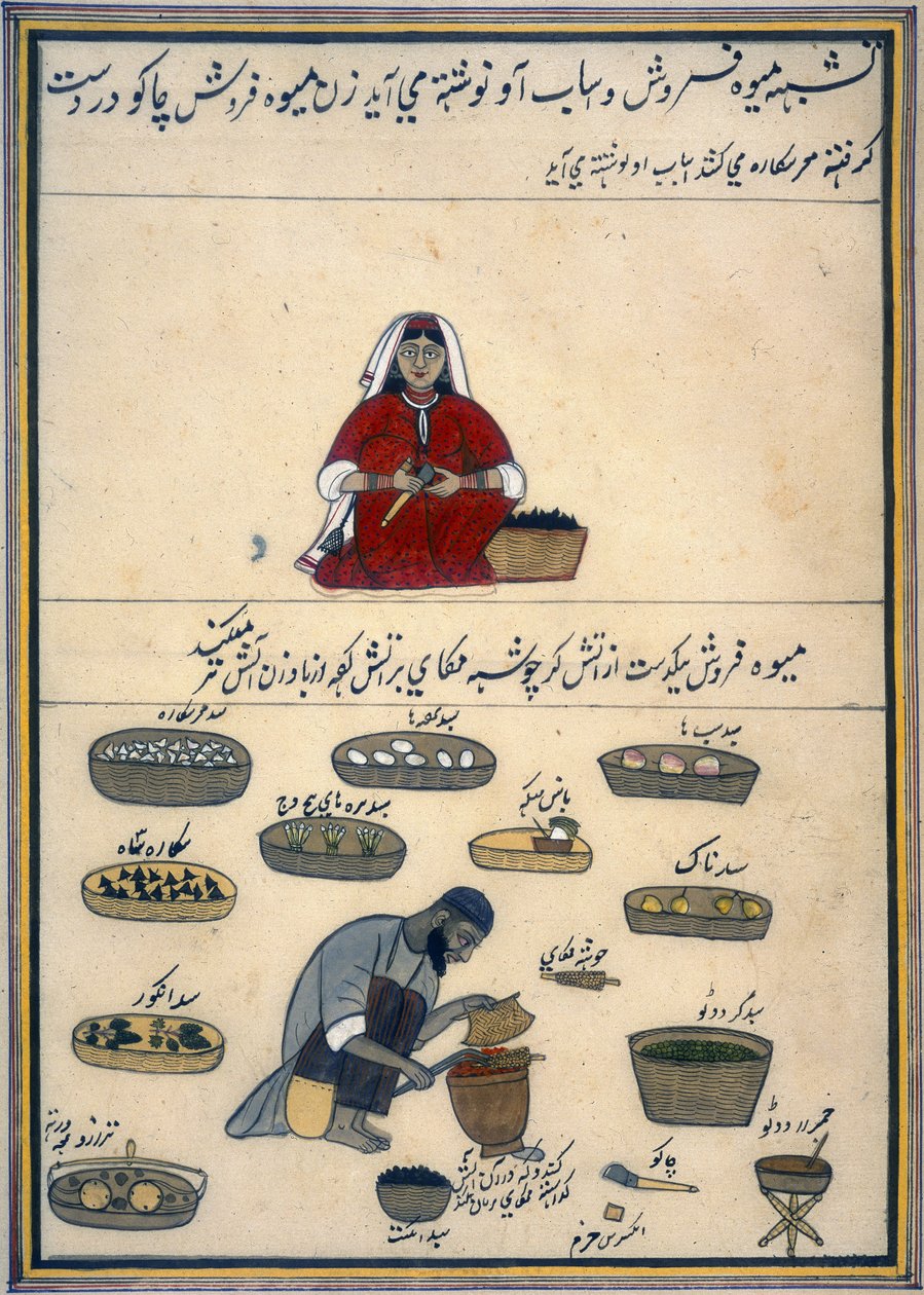 "Álbum do comércio de Caxemira", c.1860 (aguarela sobre papel) de Indian School