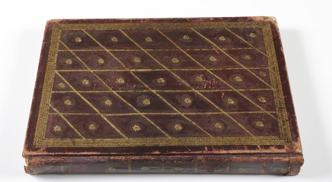 Álbum de Genealogia dhynstica Mughal, 1855 (couro com detalhe em ouro) de Indian School