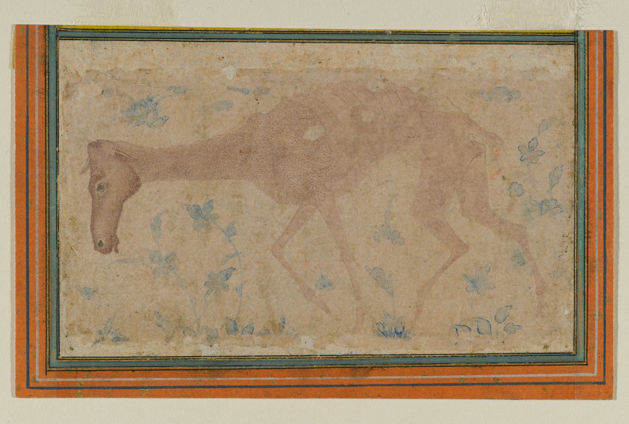 Um Cavalo Emaciado, de Mughal ou Deccan, meados do século XVII (tinta e lavagem a cores sobre papel) de Indian School