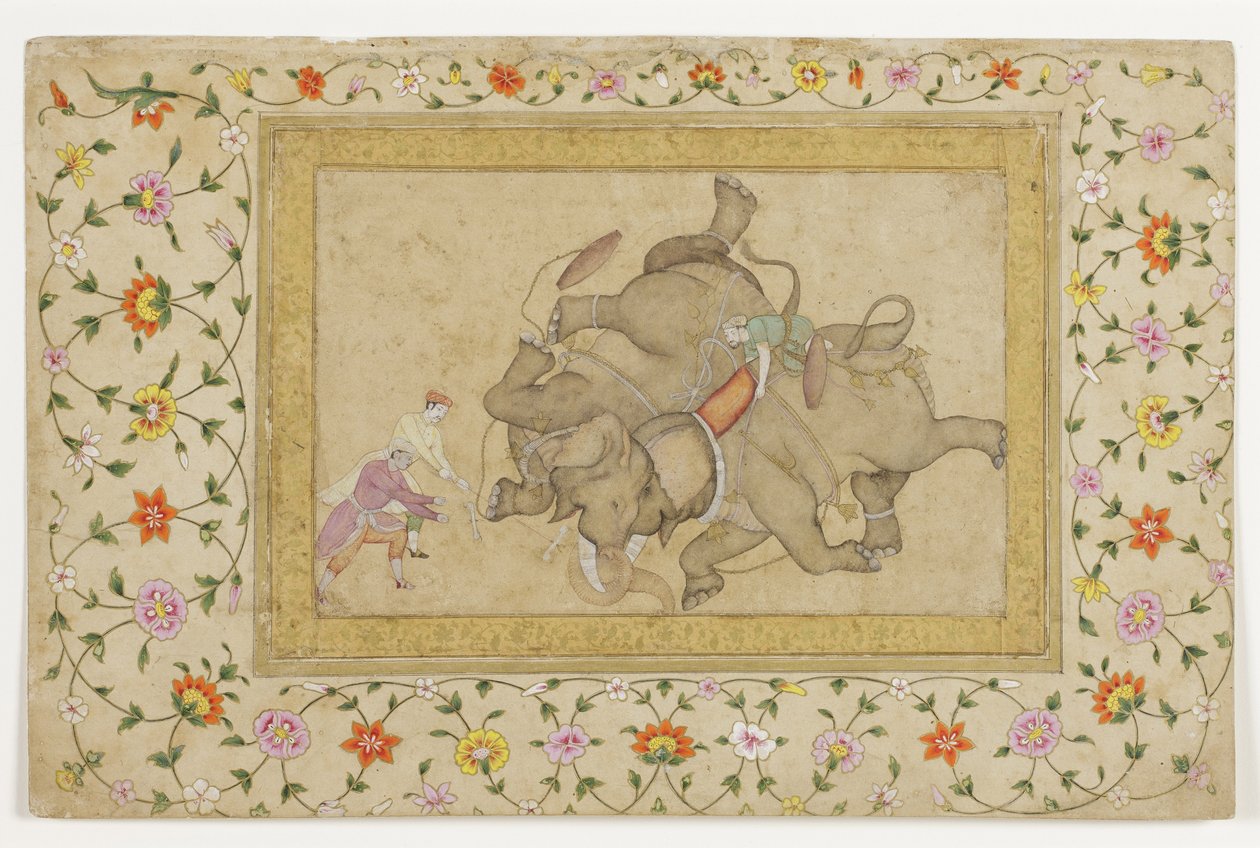 Um combate de elefantes, com arabescos florais de borda, c.1610 (wc opaco e ouro sobre papel) de Indian School