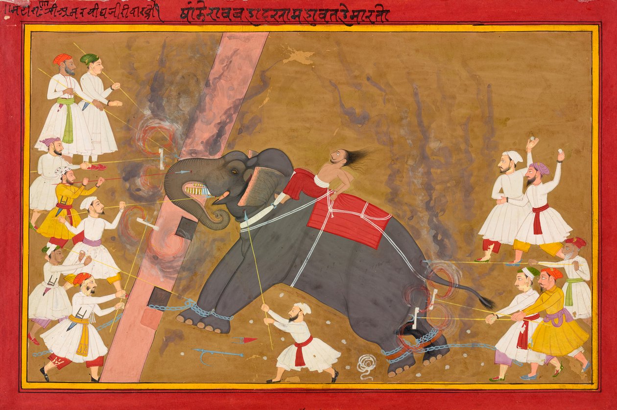Um elefante fica louco, c.1700 de Indian School