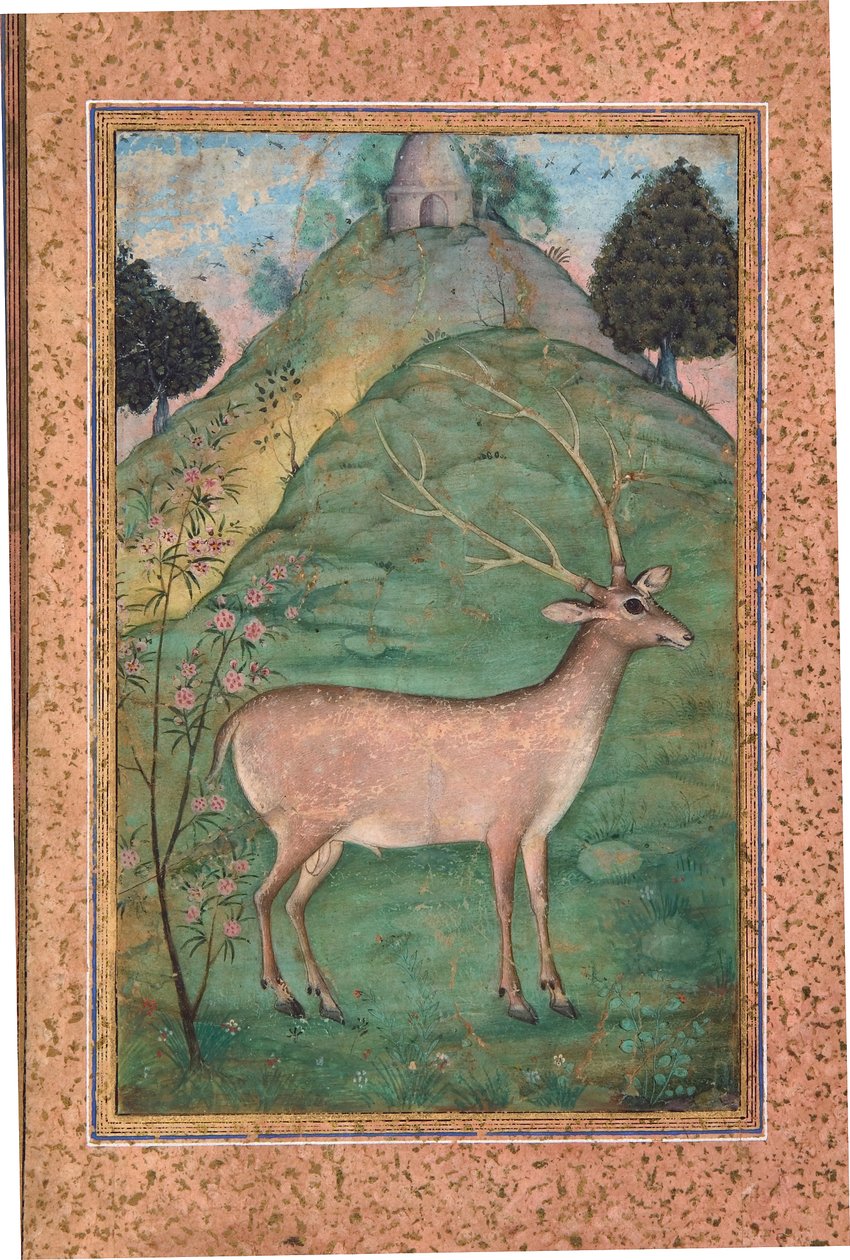 Buck em uma paisagem, c.1595 (wc opaca e ouro no papel) de Indian School