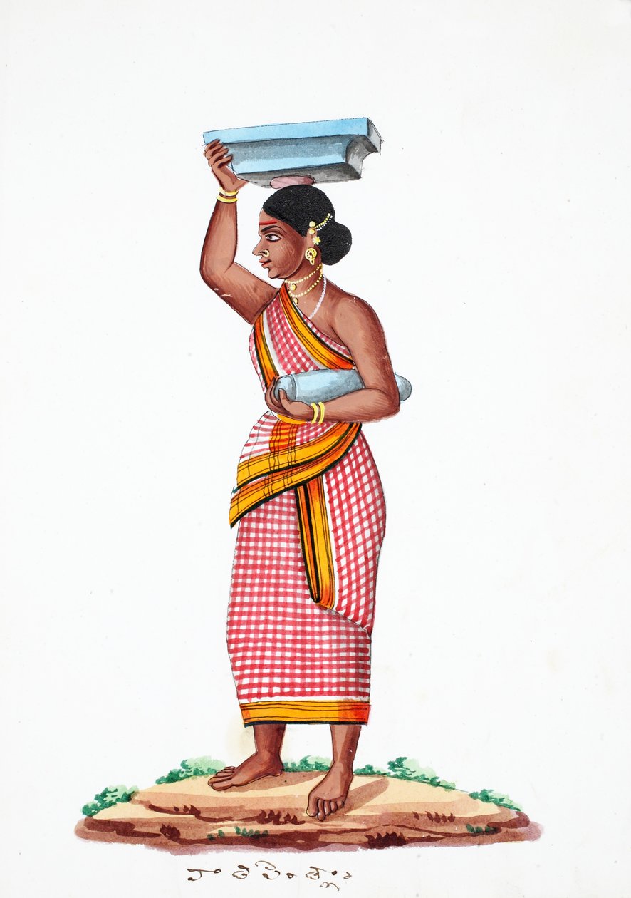 Pedra de transporte (wc no papel) de Indian School