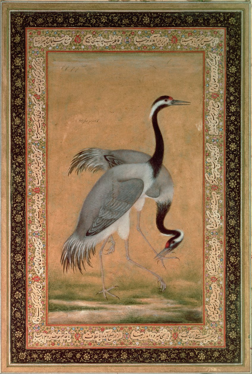 Gruas de Mansur, Período Jahangir, Mughal de Indian School