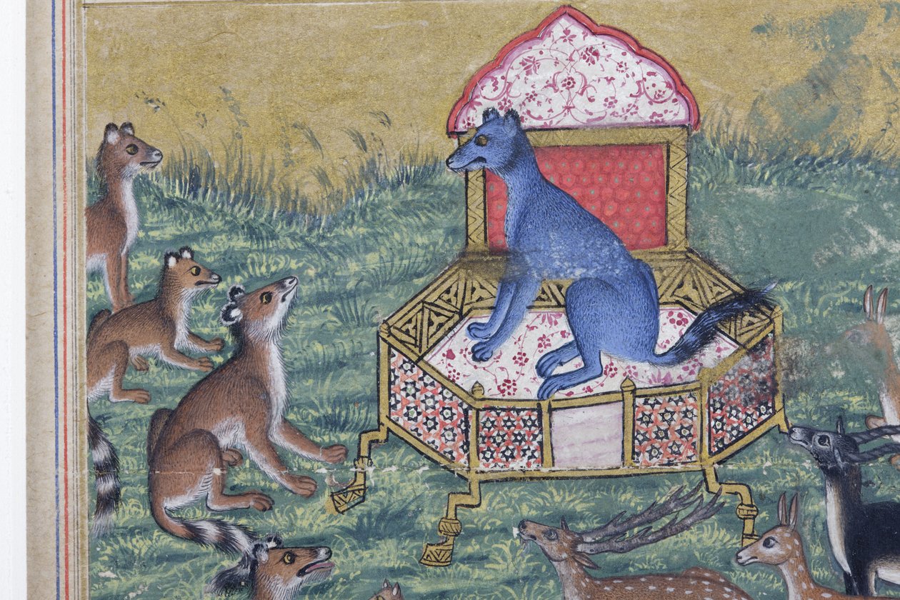 Detalhe do Chacal que se pronunciou Rei, c.1560-65 (wc opaco e ouro sobre papel) de Indian School