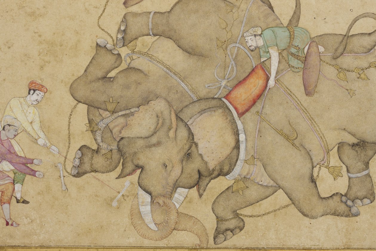 Detalhe de um combate de elefantes, com arabesco floral de fronteira, c.1610 (wc opaco e ouro sobre papel) de Indian School